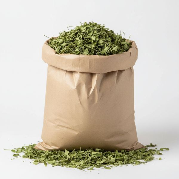Feuilles de Moringa Séchées — Grossiste B2B